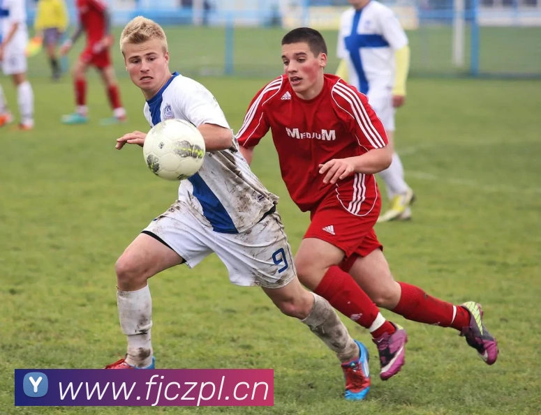 kaiyun体育中国官网APP 封面图